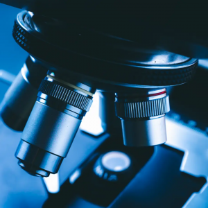 Biotechnology Engineering